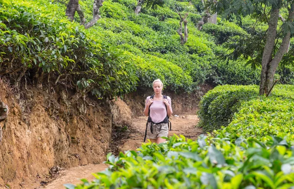 积极白种人的金发女人享受新鲜的空气和质朴自然间茶 plantaitons 跟踪的同时附近的埃拉，斯里兰卡。Bacpecking 户外旅游探险 — 图库照片