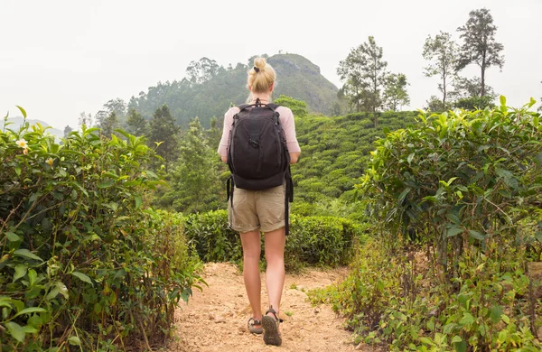 Aktivní kavkazské blondýnka lahodilo čerstvý vzduch a nedotčené přírody při sledování mezi čaj plantaitons poblíž Ella, Srí Lanka. Bacpecking venkovní turistické dobrodružství — Stock fotografie