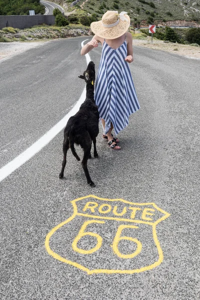 年轻迷人的女人，身穿条纹夏装，头戴草帽，站在一条空荡荡的大道上，在66号公路上无处可寻的中间，喂着黑羊. — 图库照片