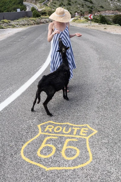 年轻迷人的女人，身穿条纹夏装，头戴草帽，站在一条空荡荡的大道上，在66号公路上无处可寻的中间，喂着黑羊. — 图库照片