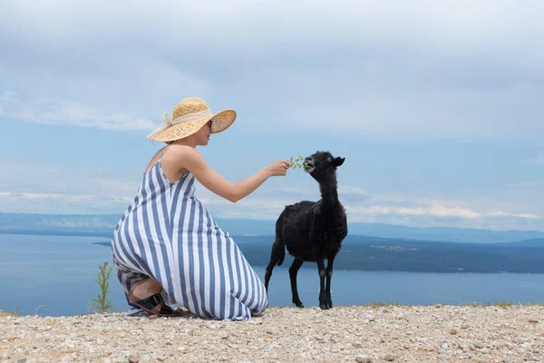 年轻迷人的女性旅行者在克罗地亚亚得里亚海沿岸旅行时，身穿条纹夏装，头戴草帽，蹲着、喂食和爱抚黑羊 — 图库照片