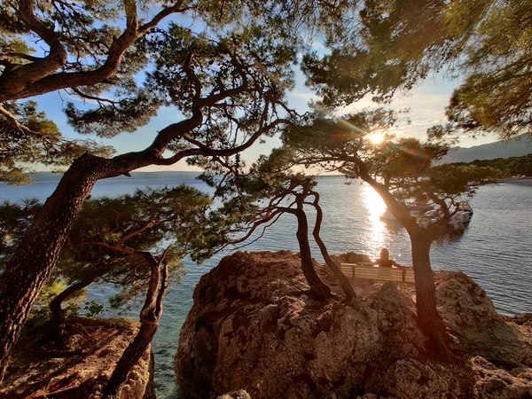 Mujer pensativa de vacaciones, sentada y relajada bajo un gran pino en el banco por el mar azul dip disfrutando de la hermosa luz del atardecer en Brela, región de Makarska, Dalmacia, Croacia — Foto de Stock