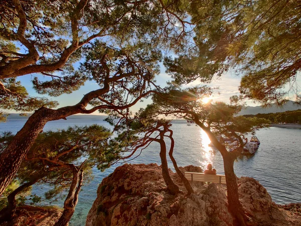 Mujer pensativa de vacaciones, sentada y relajada bajo un gran pino en el banco por el mar azul dip disfrutando de la hermosa luz del atardecer en Brela, región de Makarska, Dalmacia, Croacia — Foto de Stock