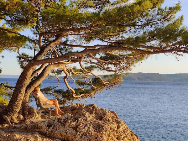 Θλιμμένη γυναίκα σε διακοπές, κάθεται και χαλαρώνει κάτω από ένα μεγάλο πεύκο στον πάγκο δίπλα στην καταγάλανη θάλασσα απολαμβάνοντας το όμορφο φως του ηλιοβασιλέματος στην Μπρέλα της περιοχής Μακάρσκα, Δαλματία, Κροατία — Φωτογραφία Αρχείου