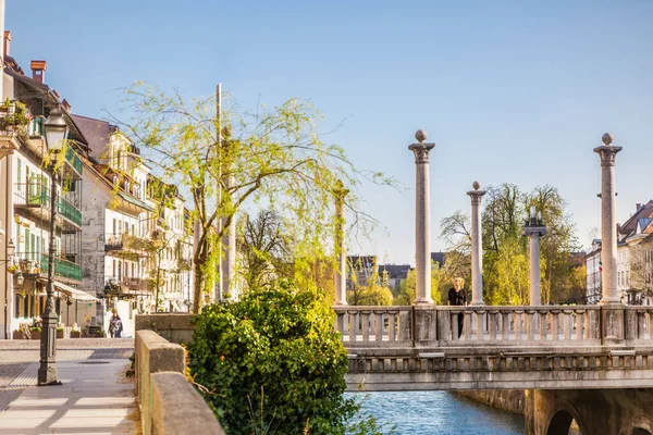 Unieke Plecnik architectuur van Cobblers brug gezien door wilgentakken in het oude middeleeuwse centrum van Ljubljana, Slovenië — Stockfoto