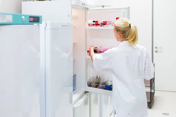 Different types of chemical solutions stored in a refrigeration cabinet in life science laboratory. Female researcher storing chemical solutions in refrigeration cabinet. — Stock Photo, Image