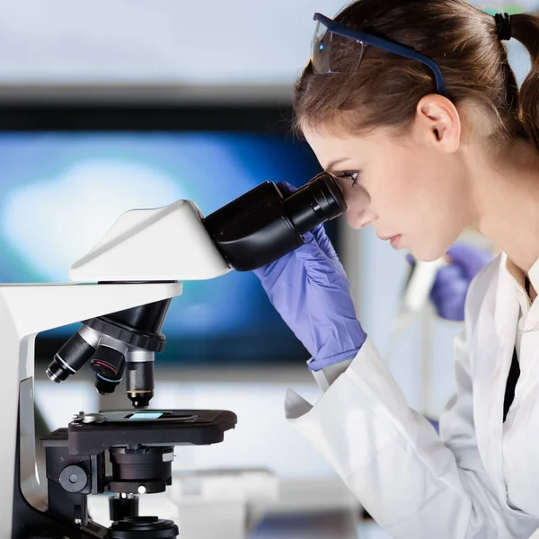 Life scientist researching in the laboratory. — Stock Photo, Image