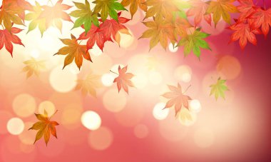 Sonbahar akçaağaç güzel güneş ışığı arka plan ile bırakır. Vektör çizim.