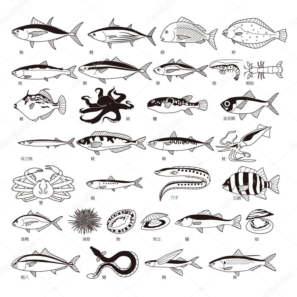 Sushi fish set on white background. Vector illustration.