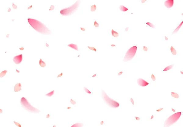Kiraz Çiçeği Sakura Petal Ilkbaharda Beyaz Arka Plan Üzerinde Uçan — Stok Vektör