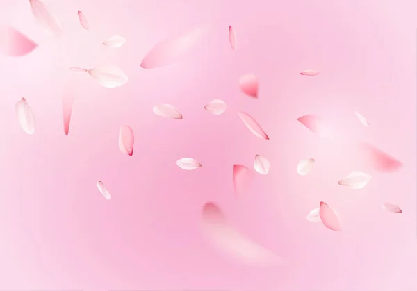Sakura Rosa Pétalos Flores — Archivo Imágenes Vectoriales