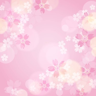 Pembe bir arka plan üzerinde pembe sakura 