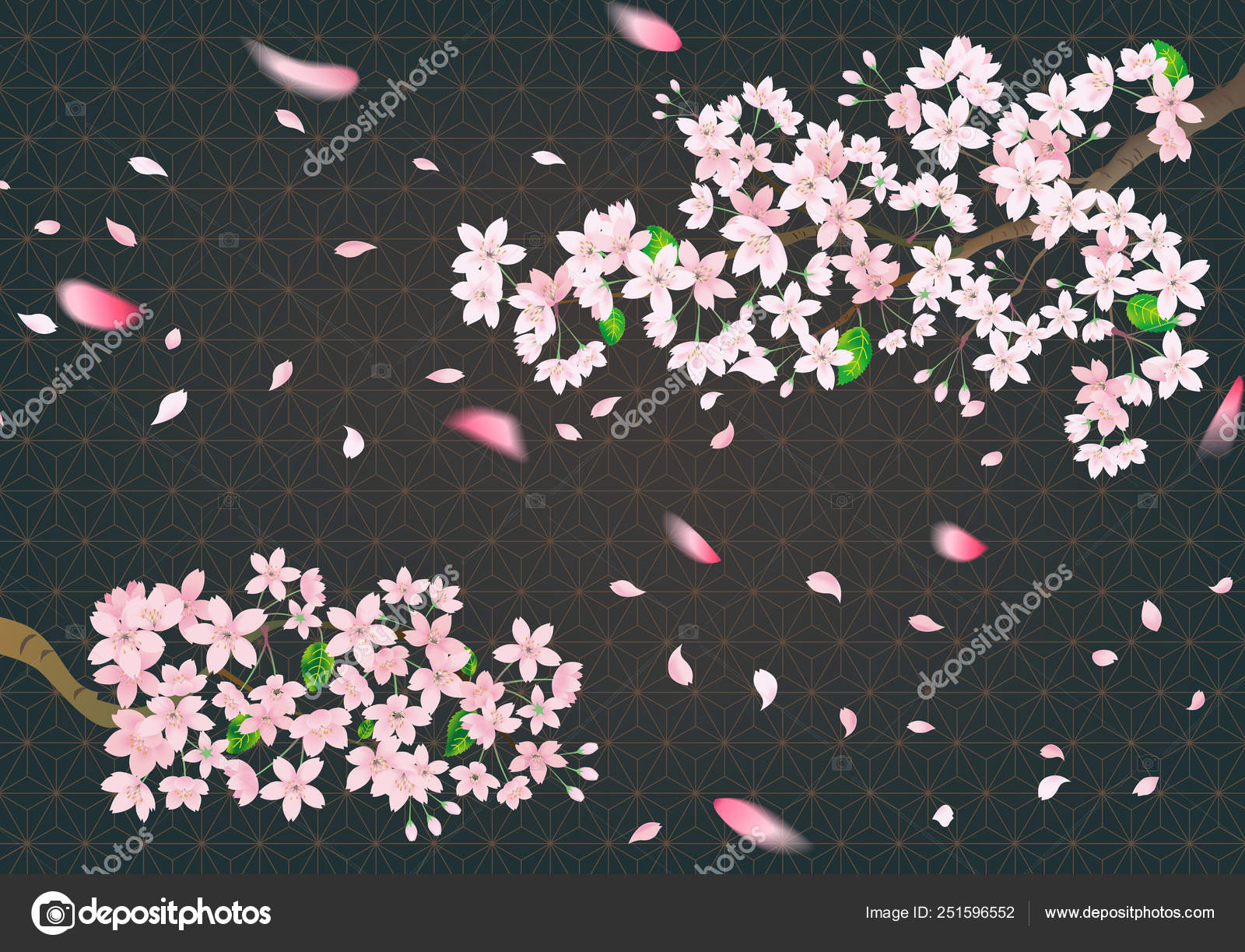 Pink Sakura Flower On Black Retro Background Cherry Blossom