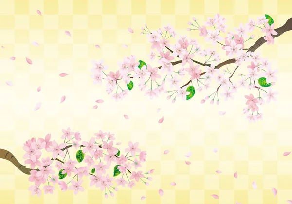 Sakura ροζ λουλούδι σε φόντο χρυσό ιαπωνική γιορτή — Διανυσματικό Αρχείο