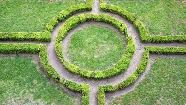 Ornamental garden high angle view