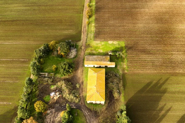 Aerial view of cultivated land in Tuscany, Italy