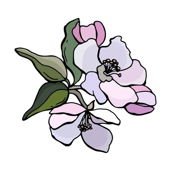Blooming Apple Tree Green Leaves Pink Flowers Vector Design Element — Stock Vector