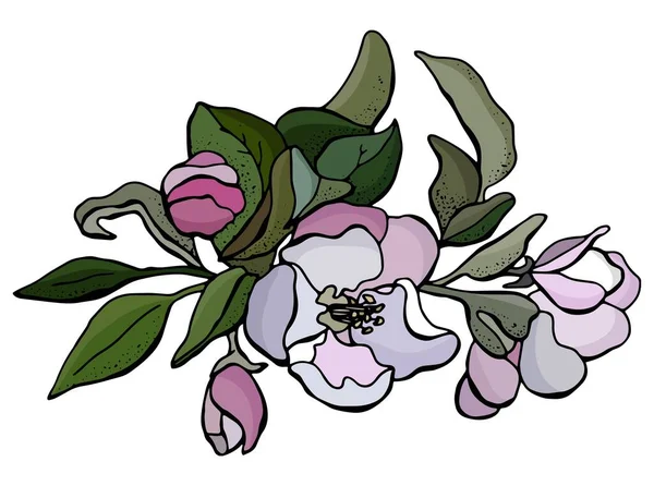 Blühender Apfelbaum Grüne Blätter Und Die Rosa Blüten Vektor Designelement — Stockvektor
