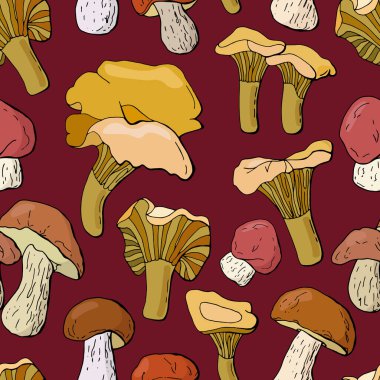 Mantarsız mantar deseni. Chanterelles ve porcini mantarları. Çizgi film tarzı. Stok çizimi. Kafe, duvar kağıdı, ambalaj, kumaş, tekstil, ambalaj kağıdı için tasarım.