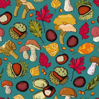 Sonbahar deseni. Renkli yapraklar, Porcini mantarları, deniz dikenleri, mantarlar, kestaneler. El çizimi vektör çizimi - Orman sonbahar koleksiyonu. Duvar kağıdı ve ambalaj için tasarım.