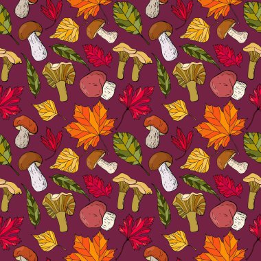 Sonbahar patern - renkli yapraklar, porcini mantarları, chanterelles. Tasarımınız için sonsuz dokular.