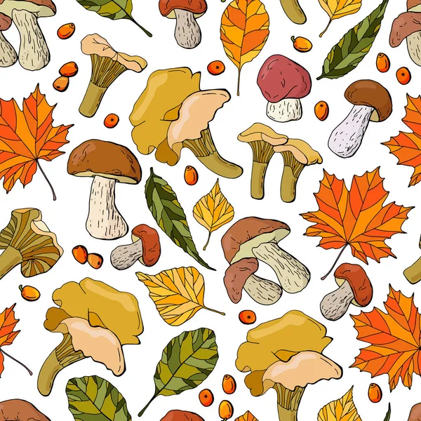 Padrão Outono Folhagem Colorida Cogumelos Porcini Espinheiro Mar Cogumelos Chanterelle — Vetor de Stock