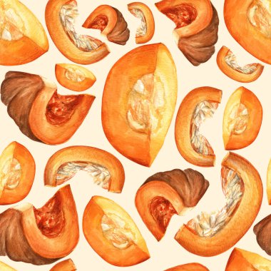 Balkabağı parçalarıyla kusursuz bir el çizimi şekli. Renk arkaplanı üzerinde botanik suluboya çizimi