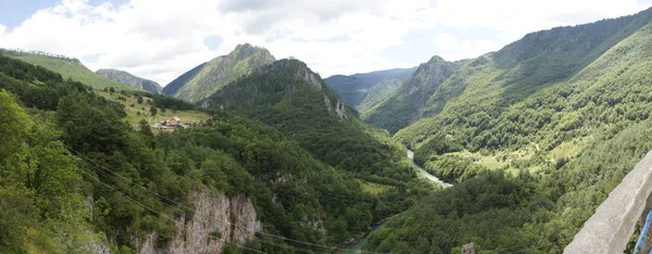 Dağ nehir Karadağ'ın yeşil tepelerle çevrili Tara. Djurdjevich Köprüsü'nden görünümü