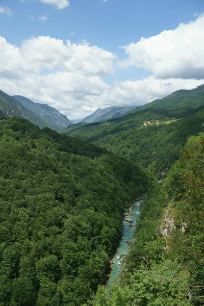 Dağ nehir Karadağ'daki ormanlık yeşil tepelerle çevrili Tara