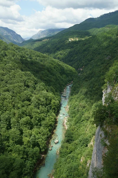 Dağ nehir Karadağ'daki ormanlık yeşil tepelerle çevrili Tara