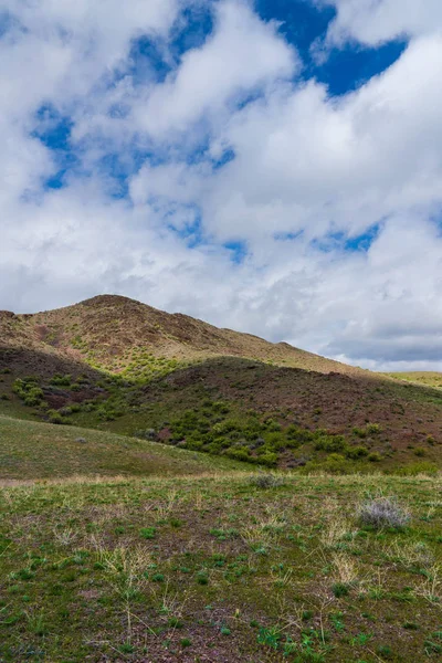 Kırmızımsı tepeler, bulutlu bir günde ilk bahar çimen ile kaplı. Çevresi Arkharly Pass, Kazakistan