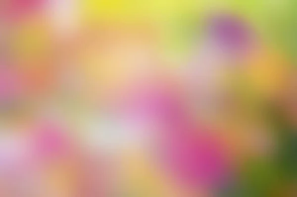 Абстрактный Фон Ярко Желтых Оранжевых Розовых Зеленых Фиолетовых Цветных Пятен — стоковое фото