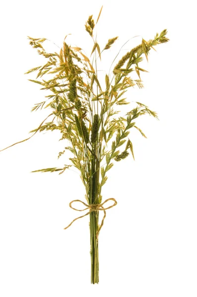 Boeket Van Herfst Geel Groene Spikeletten Kruiden Witte Geïsoleerde Achtergrond — Stockfoto