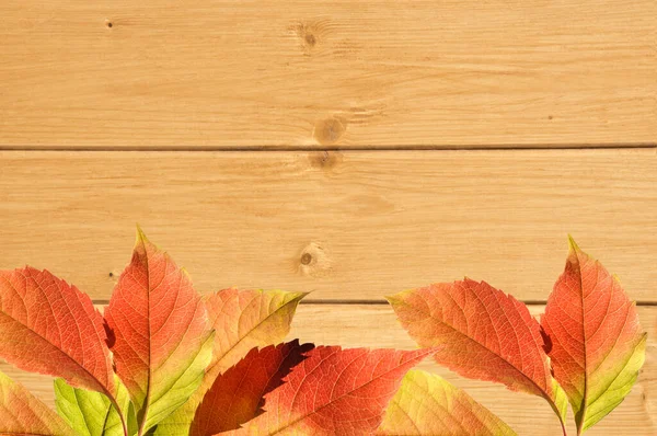 Achtergrond Van Decoratieve Gele Natuurlijke Houten Muur Met Kleurrijke Heldere — Stockfoto