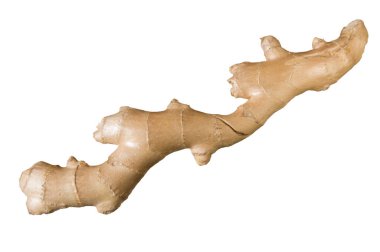 Beyaz izole arkaplanda büyük sarı zencefil kökü