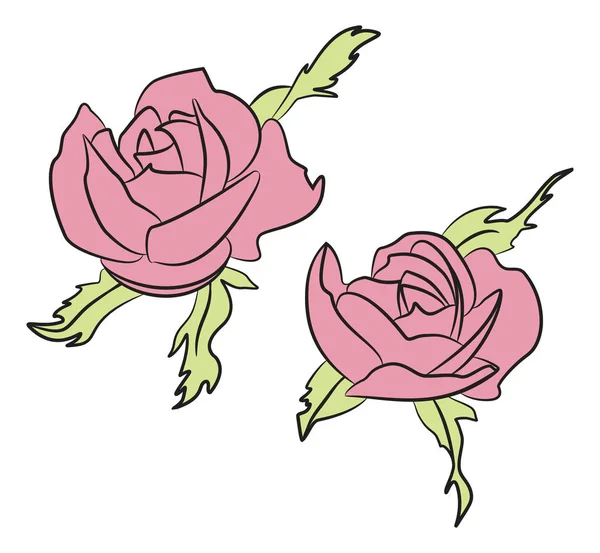 Dvě Růžice Zanechává Izolaci Bílém Pozadí Vektorová Ilustrace Kvetoucích Květů — Stockový vektor