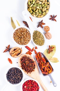 Egzotik bitkisel gıda kavramı organik baharat kakule bakla, defne yaprağı, Yıldız anason, biber, kırmızı biber, küçük Hindistan cevizi, Sichuan peppercorns ve kişniş karışımı
