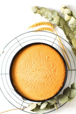 Pişirme gıda kavramı kek tavada taze pişmiş ev yapımı sünger kek