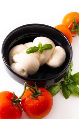 Gıda madde kavramı organik mozzarella peyniri siyah ceram
