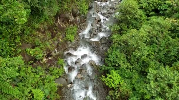 Letecký Pohled Řeky Džungle Boquete Panama — Stock video