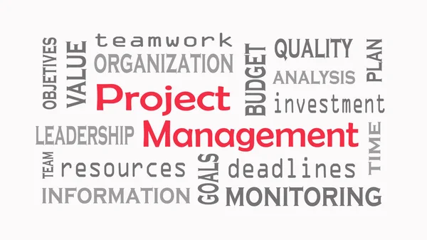 Project Management Word Cloud Concept Witte Achtergrond — Stockfoto