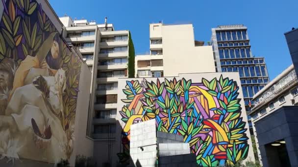 Santiago Chile Octubre 2019 Imagen Panorámica Graffiti Una Pared Del — Vídeo de stock