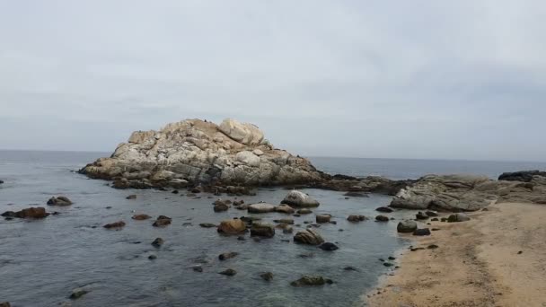 Groupe Mouettes Reposant Sur Des Pierres Plage Vina Del Mar — Video