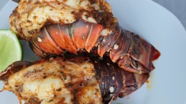 Çiğ baharatlı ıstakoz, ızgara ya da fırın için hazır..