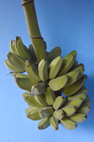 Mazzo Banane Verdi Crude — Foto Stock