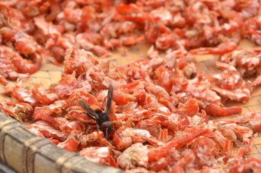 tepsiye kuru karides