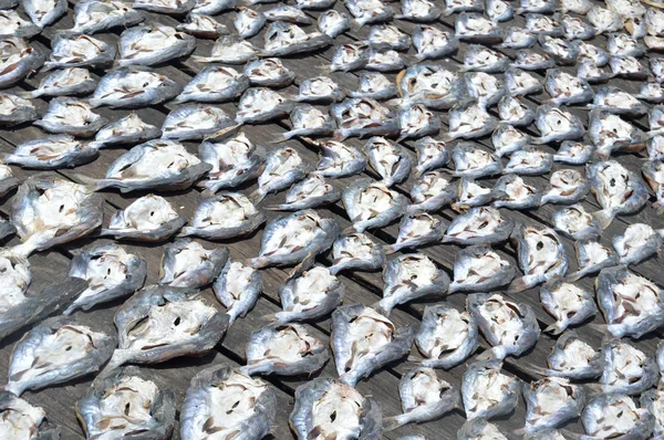 Row Dried Fish Background — Stock Photo, Image