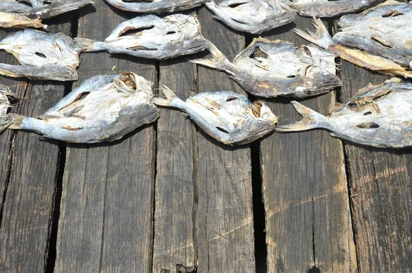 Row Dried Fish Background — Stock Photo, Image