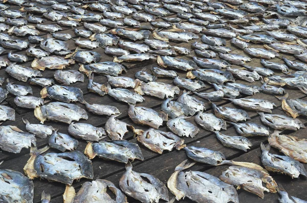 Ряд Сушеной Рыбы Фон — стоковое фото