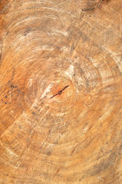 Texture Pezzi Legno — Foto Stock